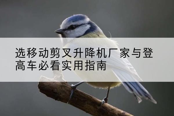 东辽电动升降机厂家-选移动剪叉升降机厂家与登高车必看实用指南