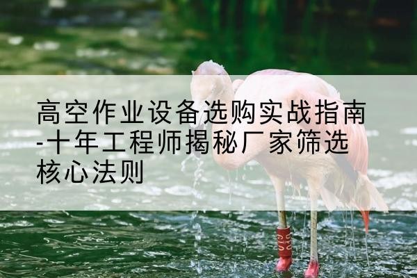 东辽剪叉式升降机厂家-高空作业设备选购实战指南-十年工程师揭秘厂家筛选核心法则