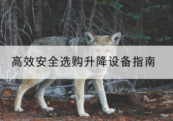 东辽升降货梯厂家推荐-*安全选购升降设备指南