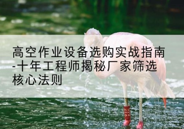 东辽剪叉式升降机厂家-高空作业设备选购实战指南-十年工程师揭秘厂家筛选核心法则