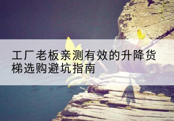 东辽升降货梯怎么选-工厂老板亲测有效的升降货梯选购避坑指南